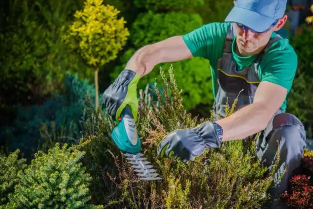 landscaping services Heidelberg